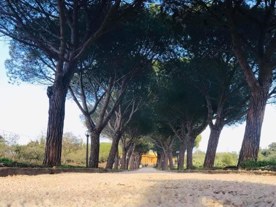 Turtle Island Apartments Santa Croce Camerina Esterno foto
