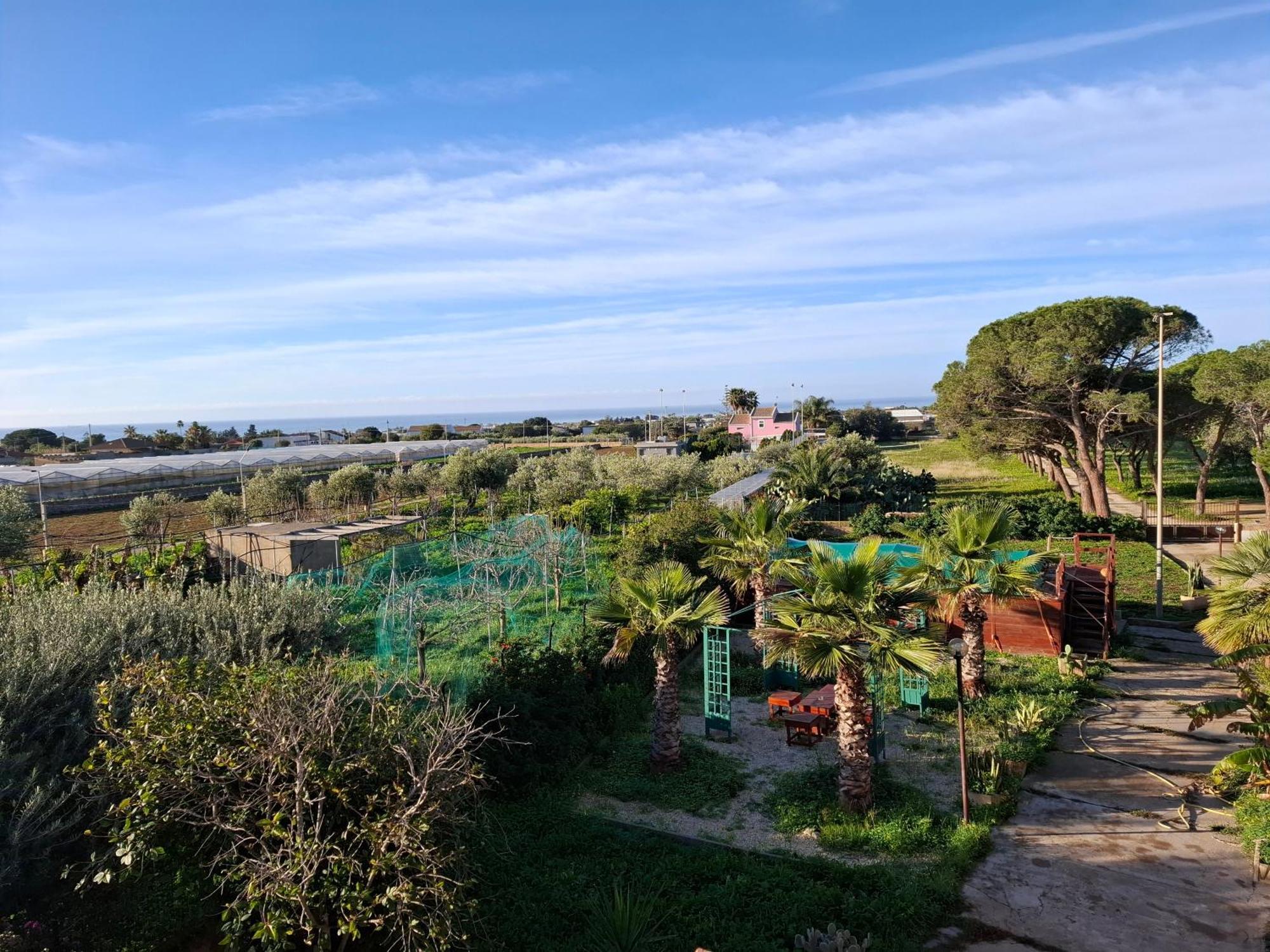 Turtle Island Apartments Santa Croce Camerina Esterno foto